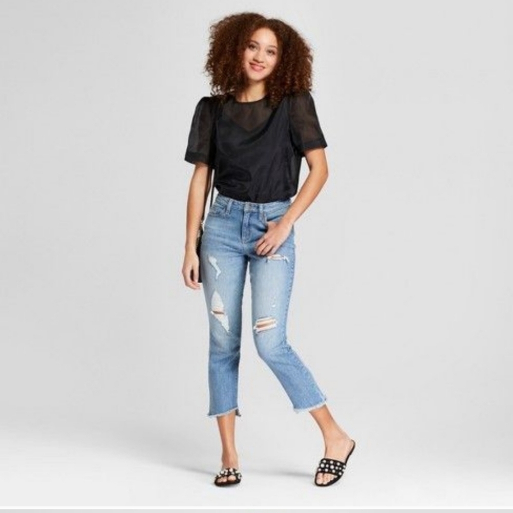 Organza Sheer Top
